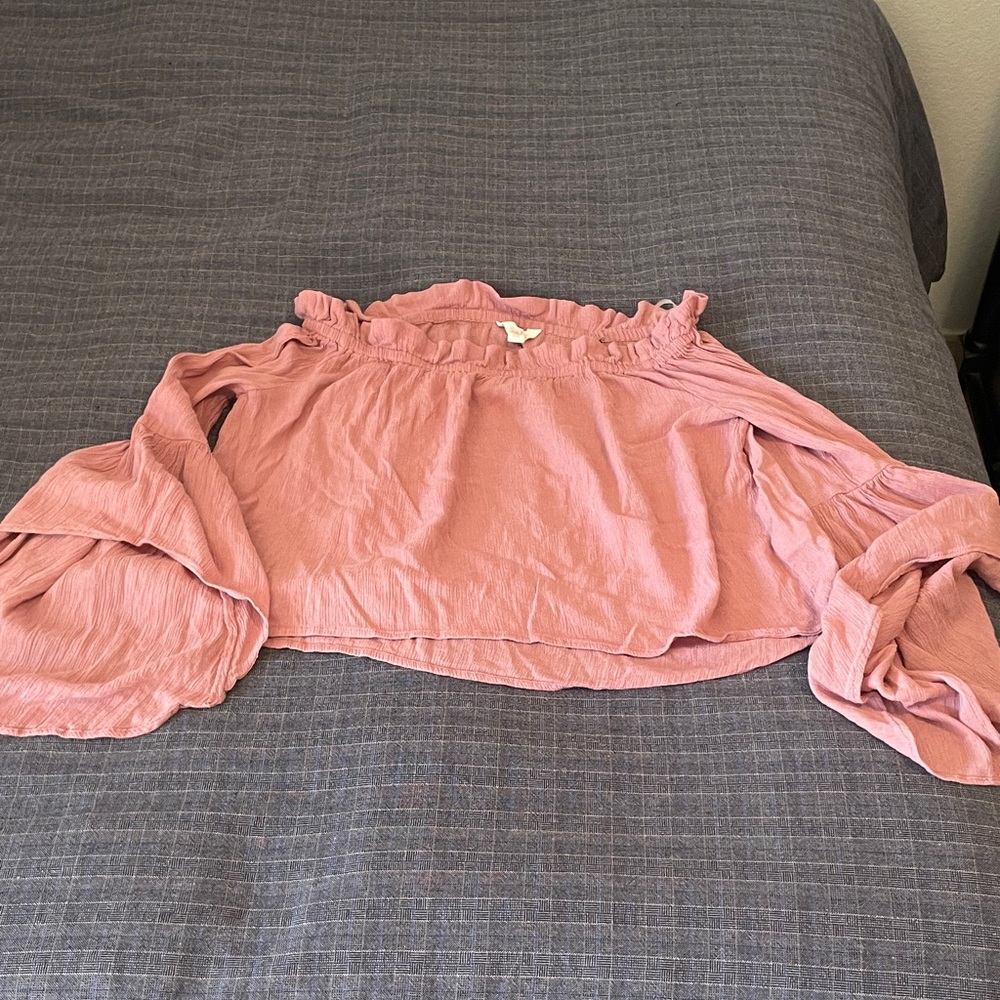 Sun & Shadow Ruffled Pink Blouse